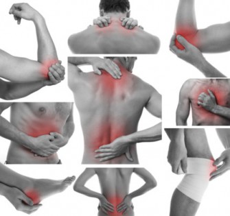 Les troubles musculo-squelettiques (TMS)