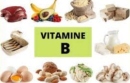 La Série des vitamines B et la production dénergie