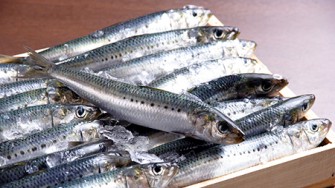 Un Poisson Argente Aux Reflets Bleu Vert La Sardine Conseils Sante Dz