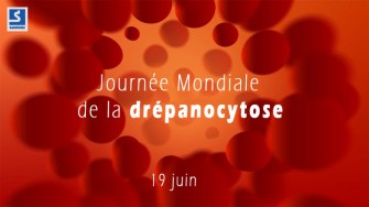 RÃ©sultat de recherche d'images pour "journÃ©e mondiale contre la drÃ©panocytose"