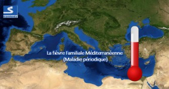 La maladie périodique / Fièvre Méditerranéenne Familiale (FMF)