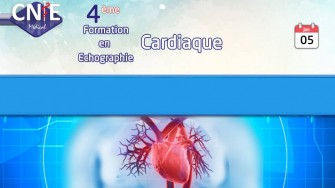 Formation en Échographie Cardiaque (Échocardiographie-Doppler)