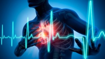 Comment survivre à une crise cardiaque ? 